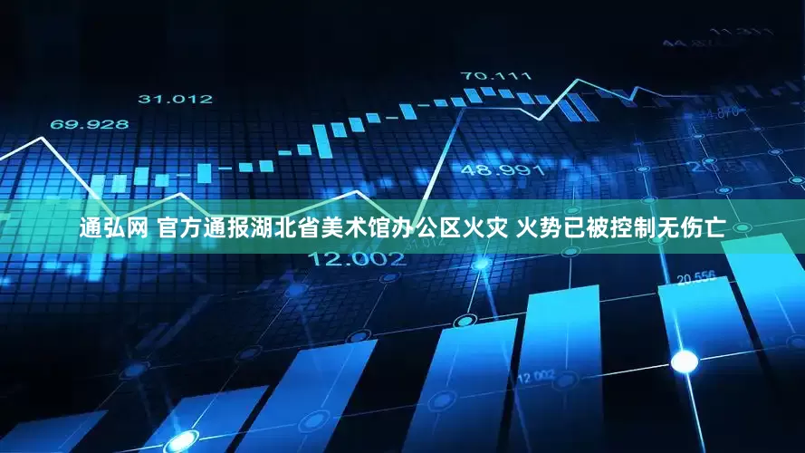 通弘网 官方通报湖北省美术馆办公区火灾 火势已被控制无伤亡