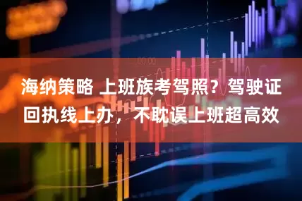 海纳策略 上班族考驾照？驾驶证回执线上办，不耽误上班超高效